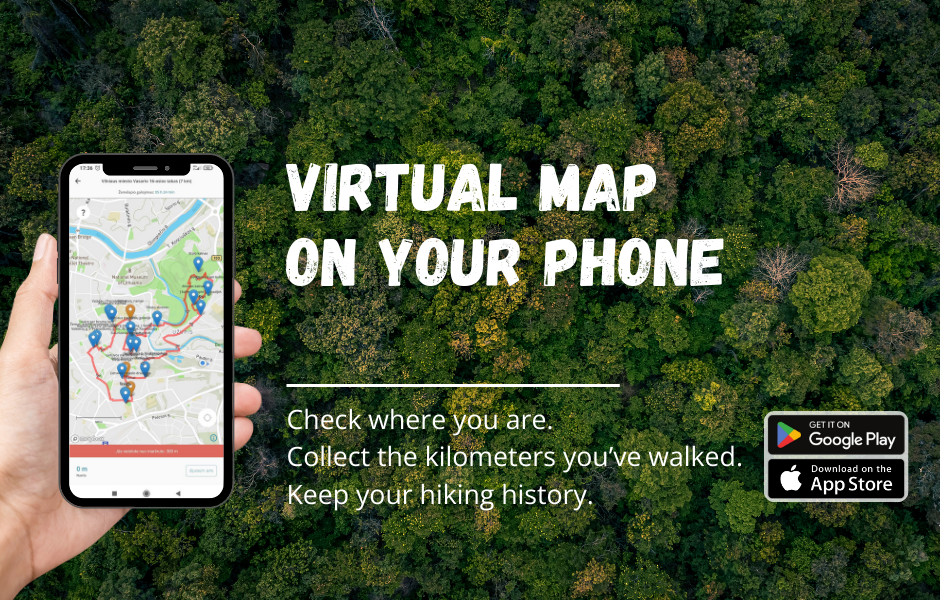 map in the app